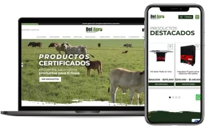 Desarrollo web en Medellín
