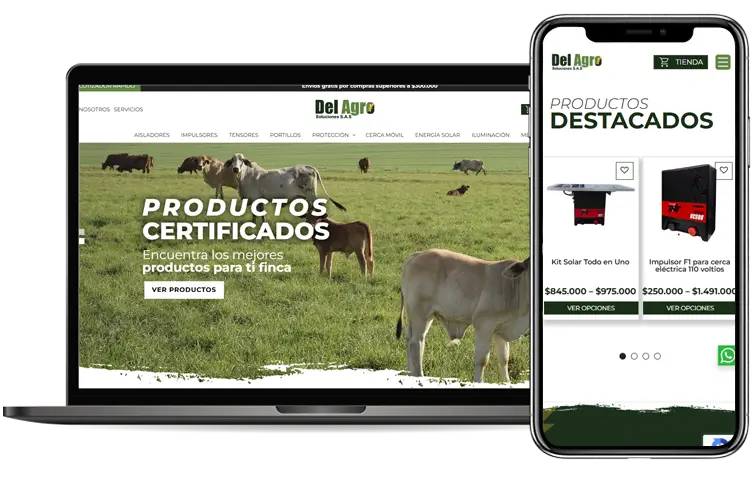 Desarrollo web en Medellín