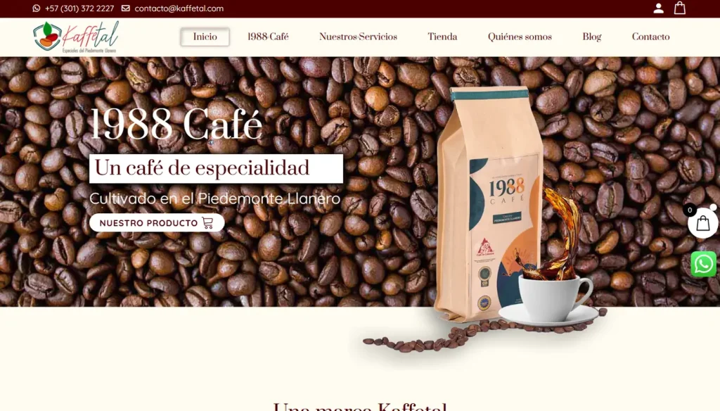 Desarrollo web En Medellín