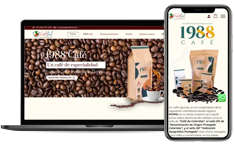 Agencia desarrollo web Medellín