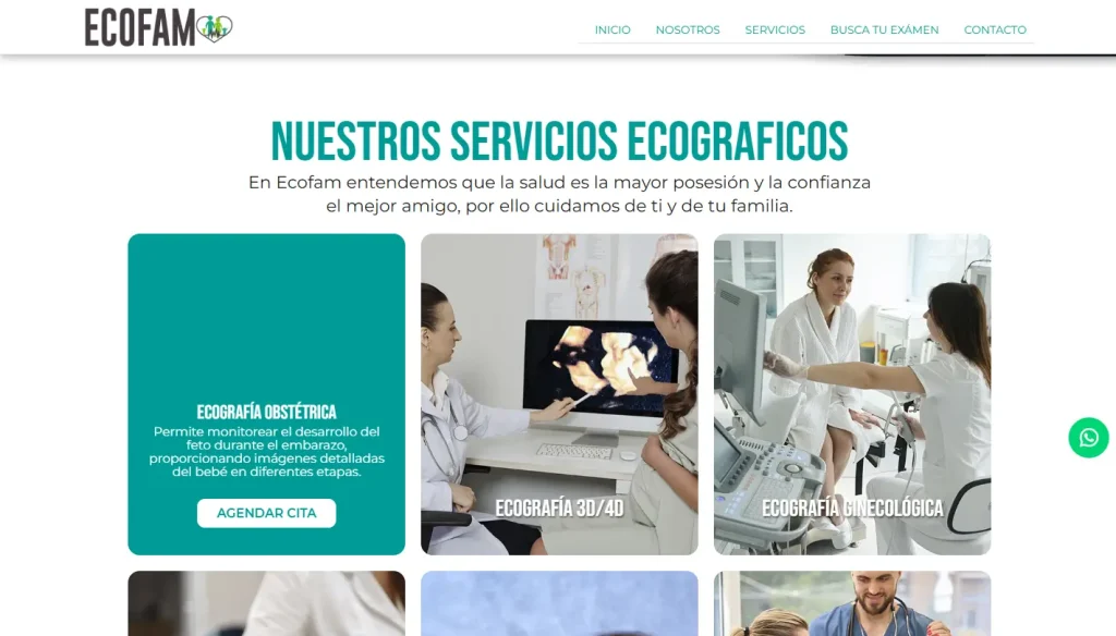Agencia de desarrollo web